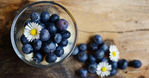 Blaubeeren in einer Dessertschale mit Gänseblümchen dekoriert