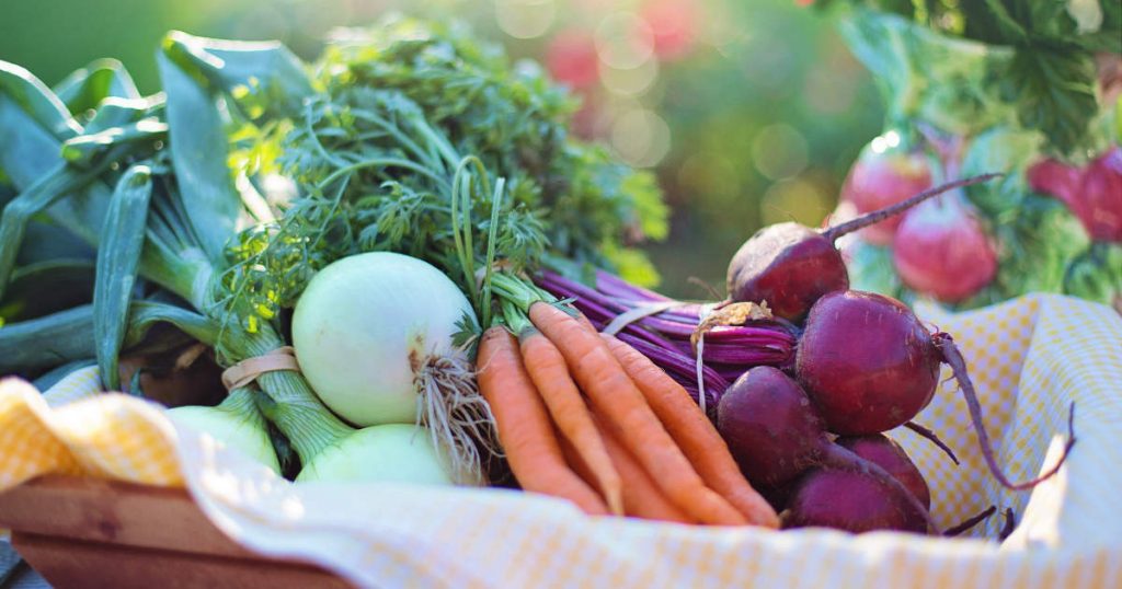 Ein Korb voll mit Gemüse bestehend aus Rote Beete, Karotten und Zwiebeln